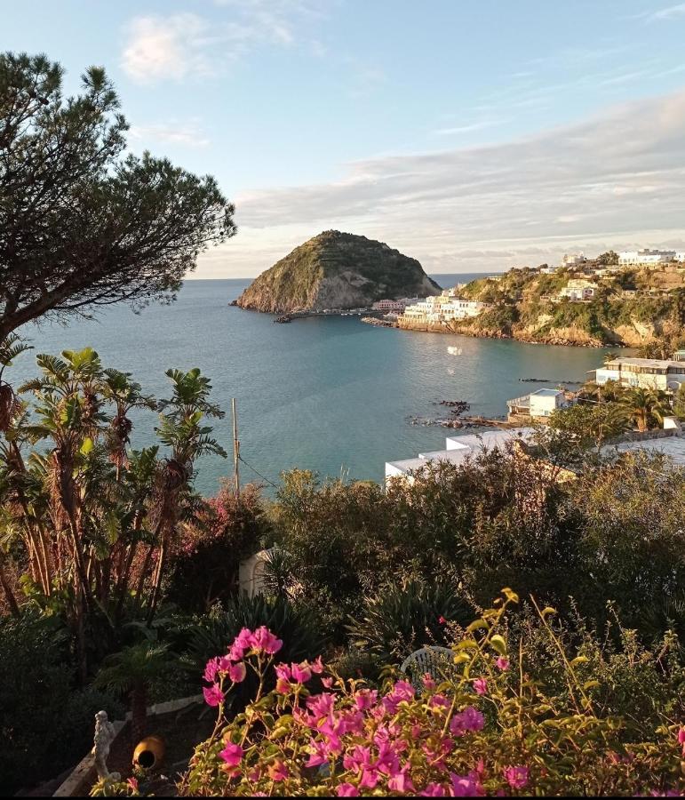 Mare Nostrum - Beachfront House - Sant'Angelo Ischia Exterior photo