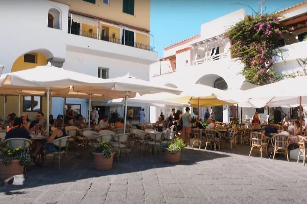 Mare Nostrum - Beachfront House - Sant'Angelo Ischia Exterior photo