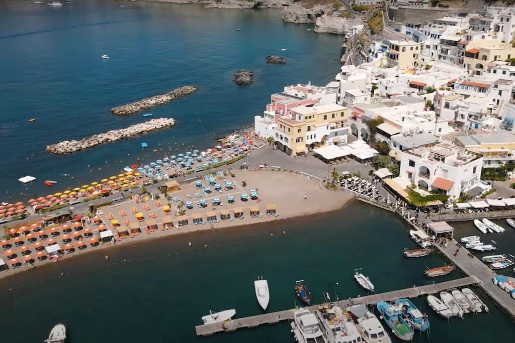 Mare Nostrum - Beachfront House - Sant'Angelo Ischia Exterior photo