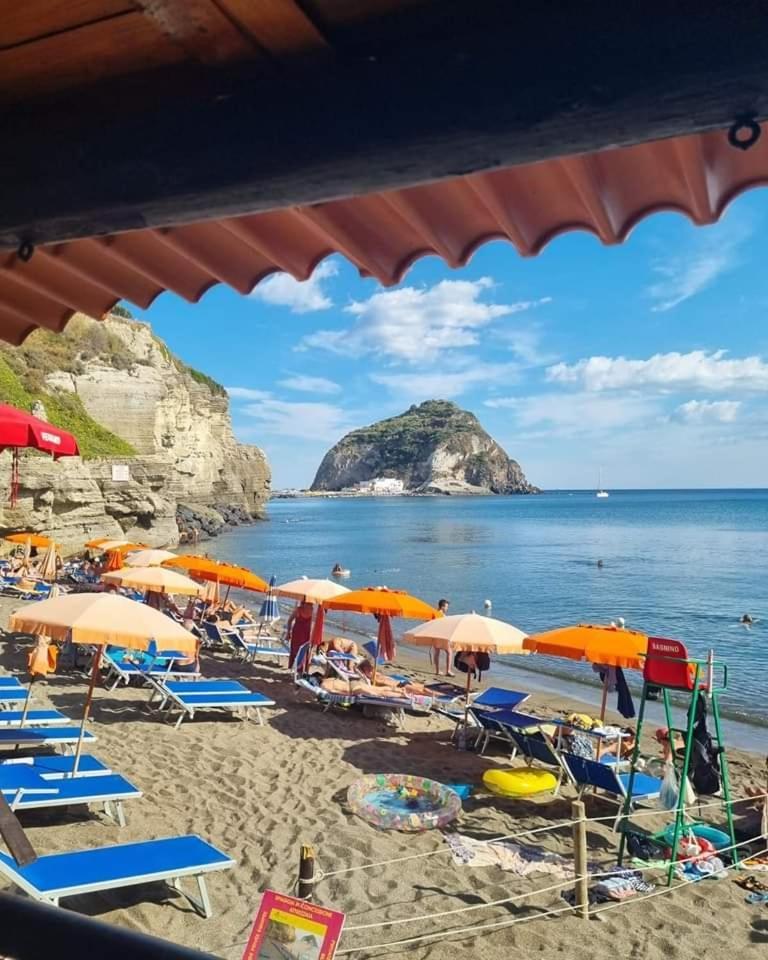 Mare Nostrum - Beachfront House - Sant'Angelo Ischia Exterior photo